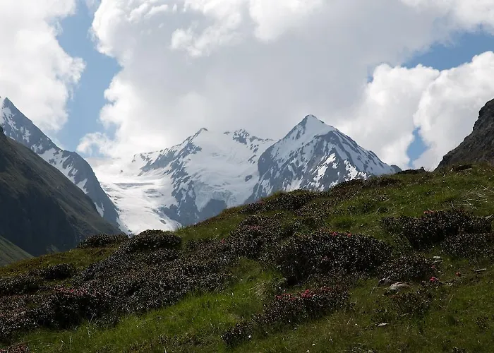 Appartement Scheiber *