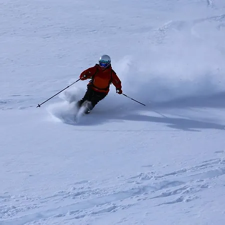 Scheiber Apartamento *