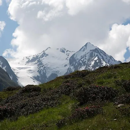 Apartamento Scheiber *