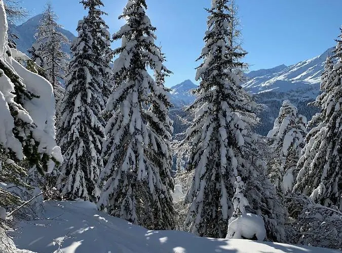 Apartmán Scheiber *